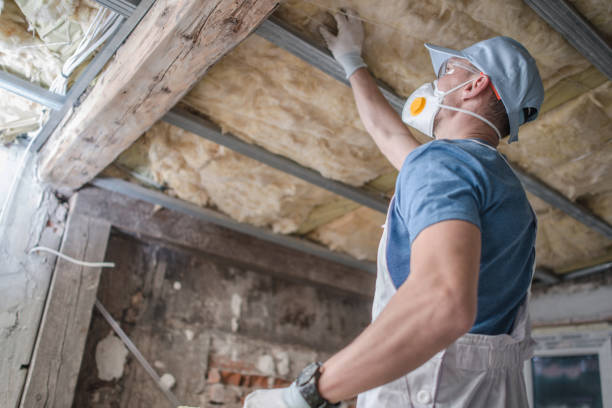 Best Commercial Insulation in Cascade, IA