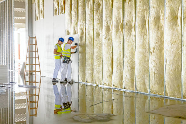 Best Residential Insulation in Cascade, IA